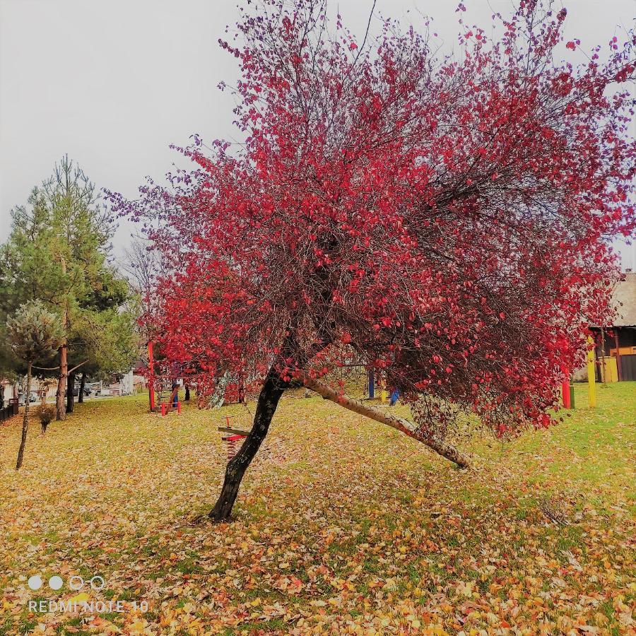 Bah House Villa Kolašin Екстериор снимка